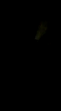Snapshot of Tamil_boy_age28 chatting on 17, 2, 2025 Tamil boy age28 online show from 17, 2, 2025