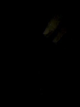 Snapshot of Tamil_boy_age28 chatting on 18, 2, 2025 Tamil boy age28 online show from 18, 2, 2025