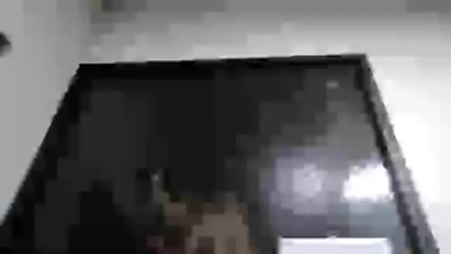 Snapshot of mmmVirginia chatting on 24, 3, 2026 mmmVirginia online show from 24, 3, 2026