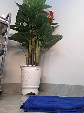 Dawn hope online show from 24, 3, 2026