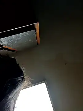 PhatAss Kummmilla online show from 13, 3, 2026