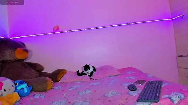 Canndy88htxx online show from 29, 11, 2025