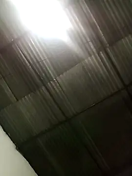 Mrdetonador online show from 3, 4, 2026