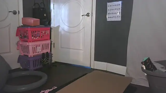 paytonkelly online show from 12, 3, 2026