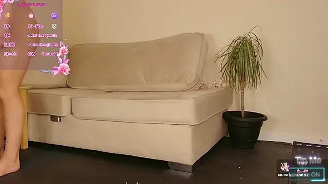 Milky flexy cat online show from 9, 3, 2026