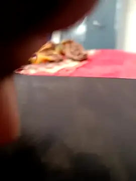 sat 1234 online show from 11, 1, 2025