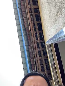 palzkybi123 online show from 15, 11, 2025