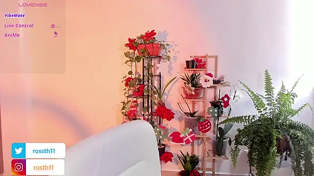 rossth1 online show from 26, 11, 2025