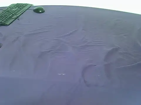 laetitia  online show from 6, 1, 2026