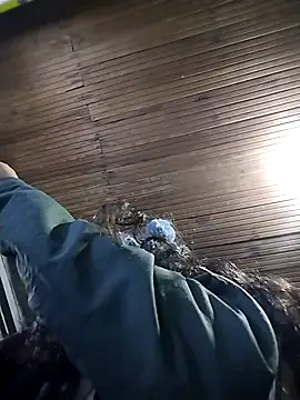 rebekka simpson online show from 15, 11, 2025