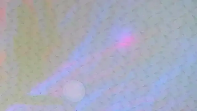 cute hollywood online show from 16, 12, 2025