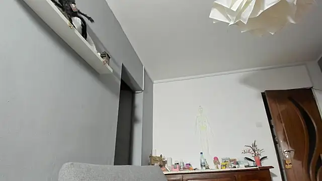 SexxyMeriem online show from 17, 11, 2025