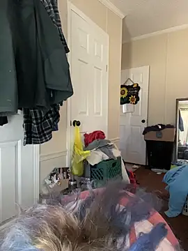 velvetta  online show from 28, 11, 2025