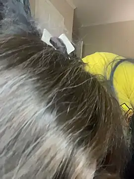 velvetta  online show from 25, 11, 2025