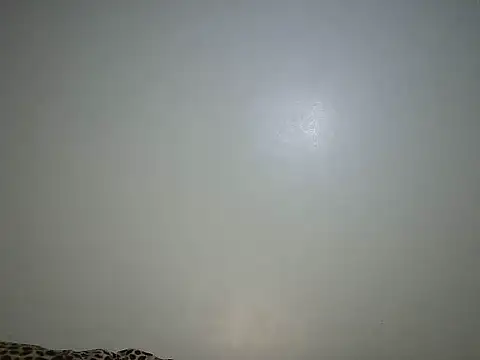 Snapshot of Toxique_ chatting on 26, 6, 2026 Toxique online show from 26, 6, 2026