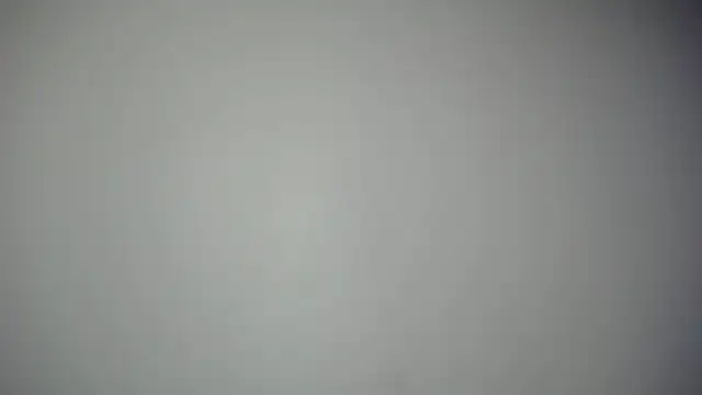 luly pink online show from 9, 10, 2025