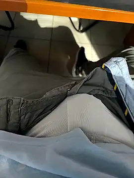 onbifeet online show from 16, 11, 2025