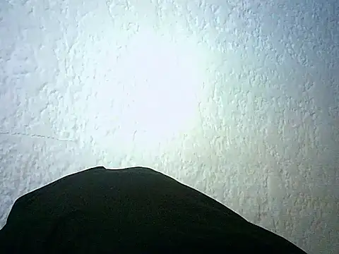 Bellabeltrann online show from 14, 1, 2026