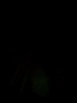 Snapshot of deepinnnnn chatting on 14, 10, 2025 deepinnnnn online show from 14, 10, 2025