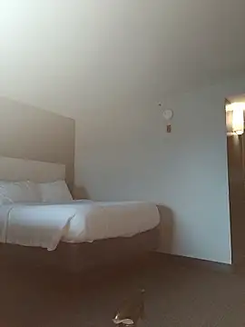 Oviedo174 online show from 5, 3, 2026