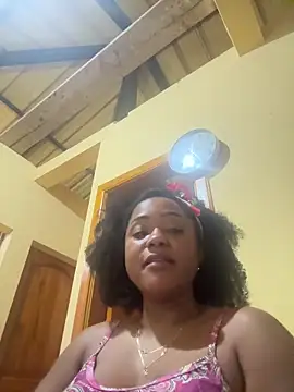 Noviostoxico online show from 6, 11, 2025