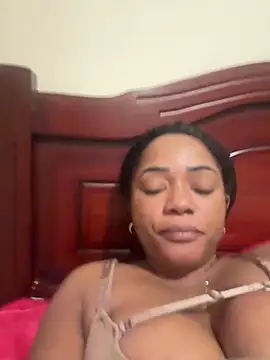 Noviostoxico online show from 13, 2, 2026