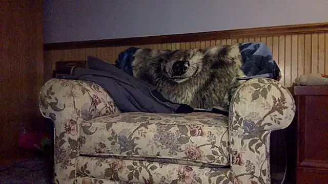 tongueispowerr6d9 online show from 3, 3, 2026