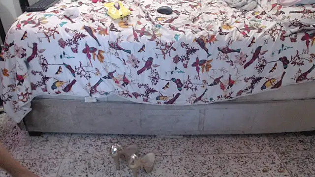 daniela starks online show from 12, 3, 2026