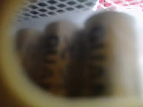 Lovensetest online show from 17, 12, 2025