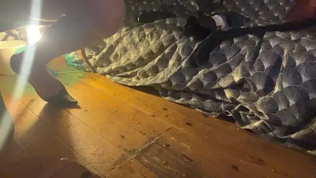 alexheels boots online show from 3, 12, 2025