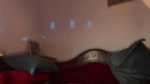 OohBunny online show from 19, 7, 2026