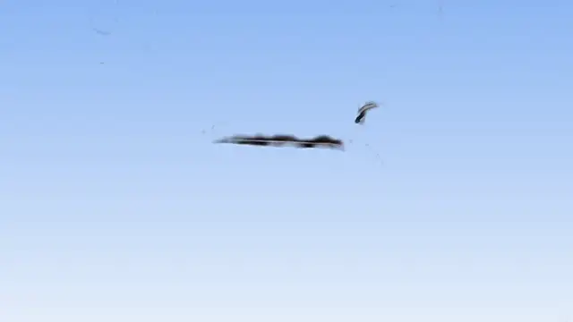 TAndresv2 online show from 5, 1, 2025