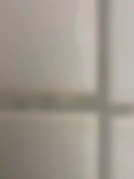 orient zob online show from 14, 11, 2025