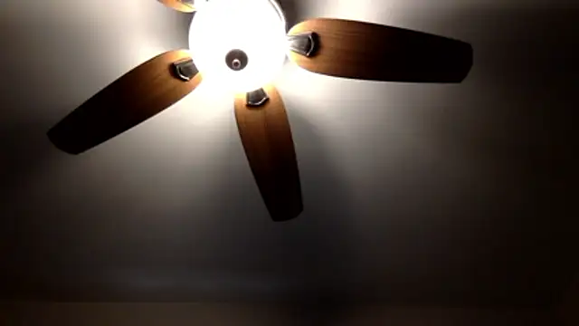 SpAzZ1234 online show from 20, 3, 2026