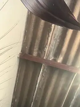 Snapshot of DManL chatting on 19, 3, 2026 DManL online show from 19, 3, 2026