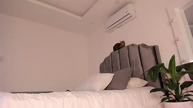 molly cams8 online show from 7, 3, 2025