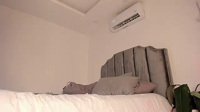 molly cams8 online show from 20, 1, 2025