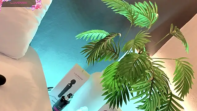 samanthaevanss1 online show from 3, 2, 2026