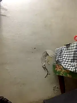 funpharoh1 online show from 10, 11, 2025