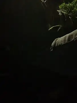 funpharoh1 online show from 2, 11, 2025