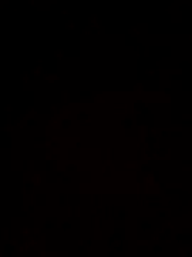 McdyllanXX online show from 7, 10, 2025