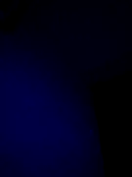 McdyllanXX online show from 17, 1, 2025