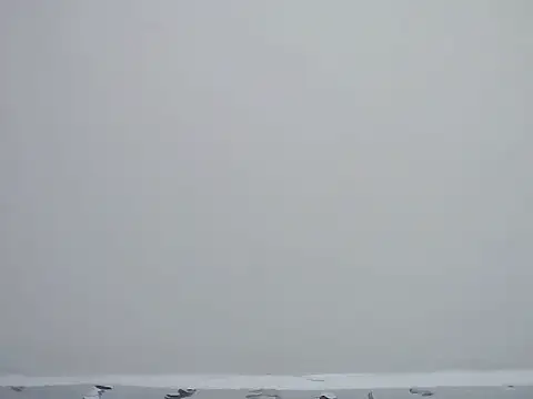 ebony curvedass online show from 19, 4, 2026