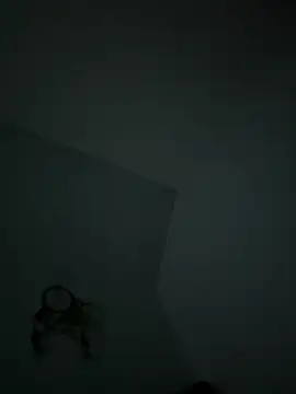 VixyGang online show from 19, 2, 2026