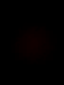 brownfeet online show from 19, 11, 2025