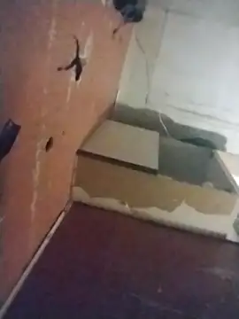 brownfeet online show from 26, 2, 2025