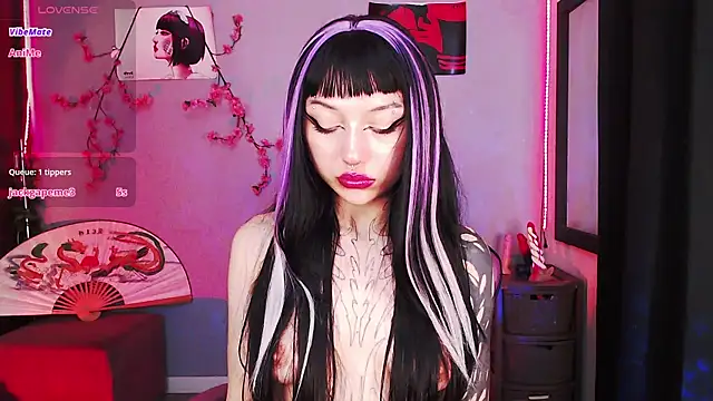 catipetite online show from 14, 2, 2026