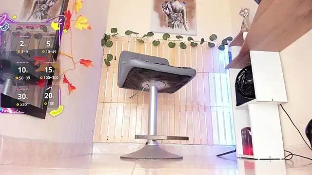 thais dreams online show from 11, 2, 2026