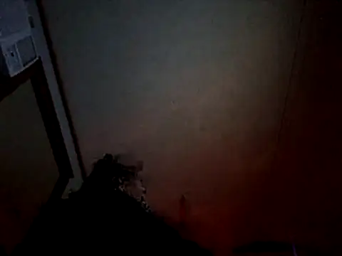 Snapshot of Off_the_Lesh chatting on 8, 7, 2026 Off the Lesh online show from 8, 7, 2026