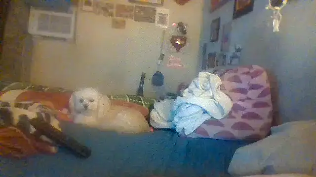 hornyrich69 online show from 22, 12, 2024